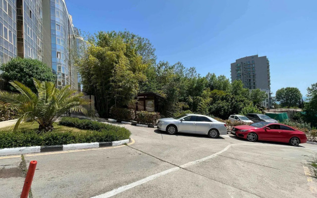 Альфа на проспекте Курортный