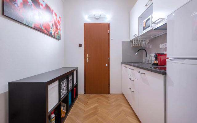 Historic Spirit at Studio under the Prague Castle