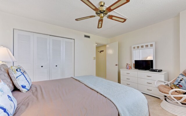 Sand Dollar I 504