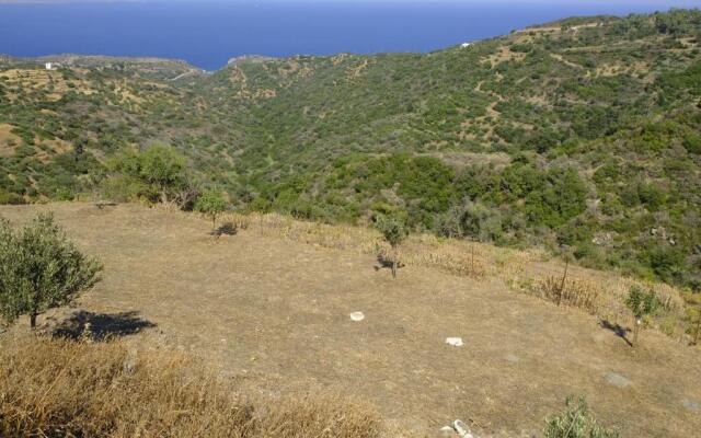 Hill's Barbacane