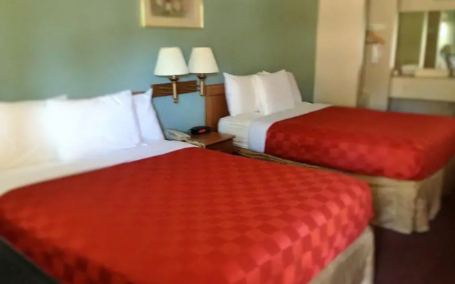 Olive Tree inn & Suites