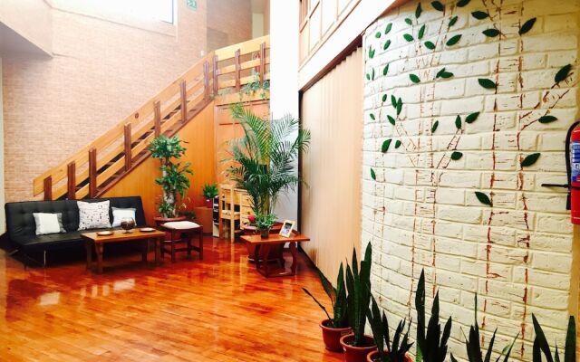 Hostel Quito Terrace