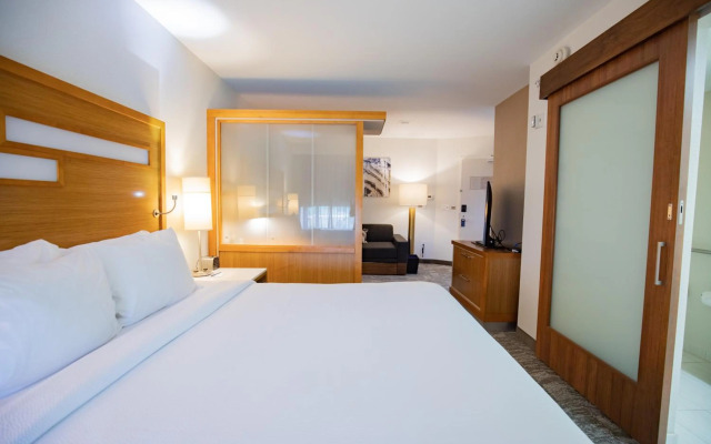 SpringHill Suites by Marriott Baton Rouge Gonzales