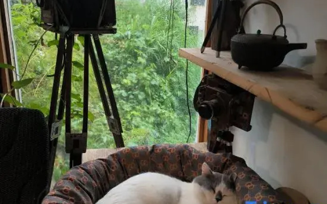 Xiongxiong Tribe Homestay