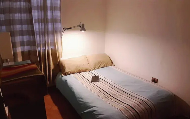 Sebris Cafic Art Gallery House