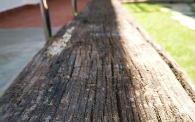 Mclane Boutique Hotel