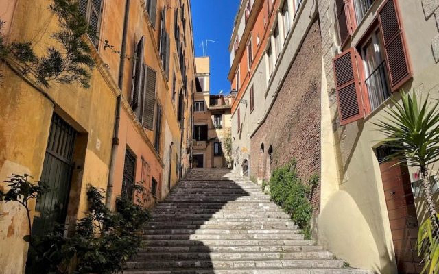 Rm-h501-pale6c2 Monti Apartments - M7