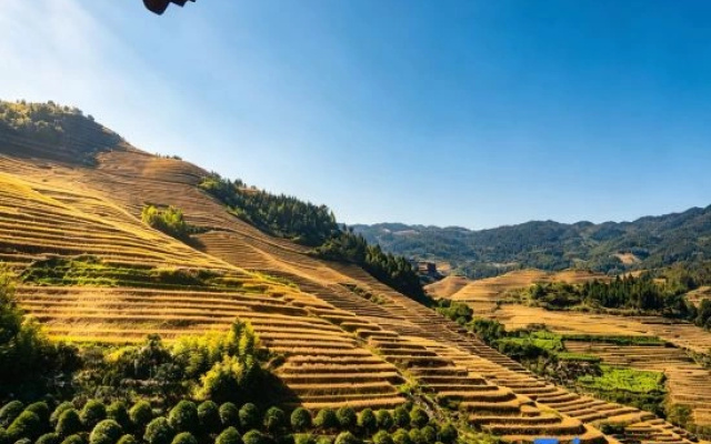 Yu Yong Guesthouse (Longsheng Longji Rice Terraces)