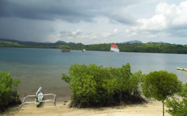 White Sandy Beach Menjangan