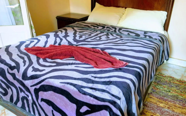 Pyramids Loft Homestay