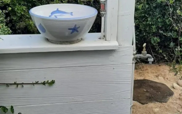 Sand Dollar @ The Dunes