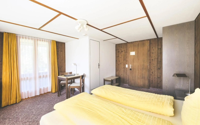 Hotel Alpina