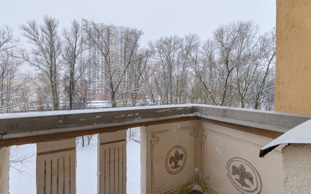 RentalSpb на Московском шоссе