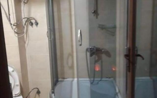 Hotel Mgzavrebi in Bakuriani apartment