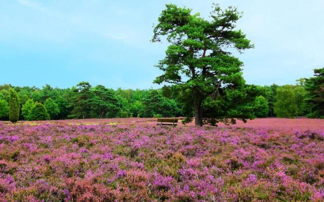 Landgasthaus Zum Naturschutzpark