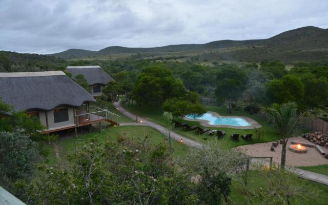 Garden Route Safari Camp