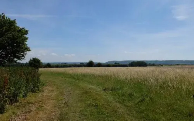The Thatched Barn