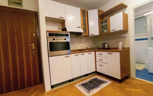 Immaculate Apartment in Center City With Parking
