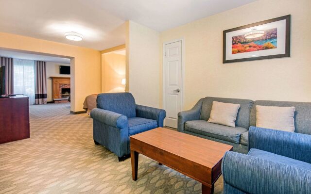 Comfort Inn Fallsview