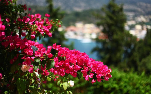 Villa Polyxeni Apartments