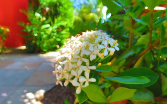 Cores Do Arraial Residence Hotel