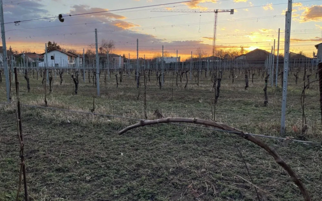 Foresteria La Torretta