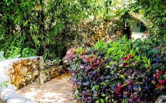 PalumboKendwa Zanzibar