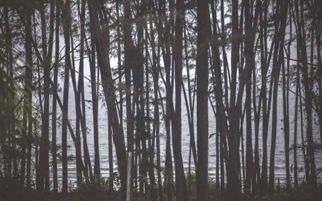 White House Beach Resort