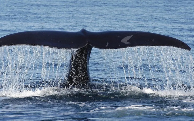 Casa Bahama by Casago