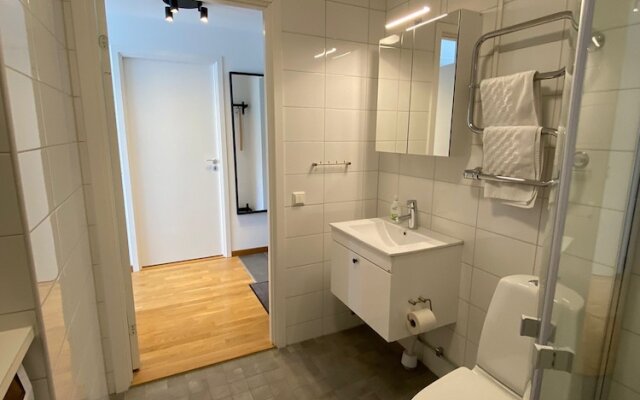 Luxury Business Apartments 2 Rooms #2