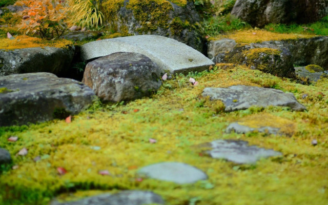 Wakamatsuya