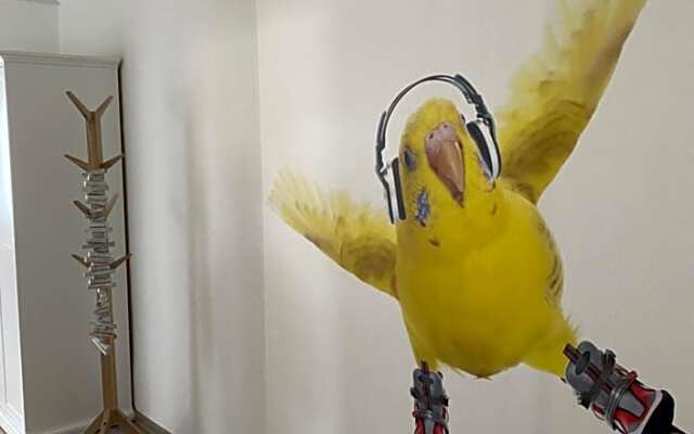 Apartments Benser-Hof