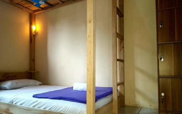 Dodo Dormitory Backpacker