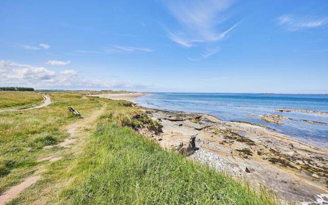 Host Stay The Puffins Nest