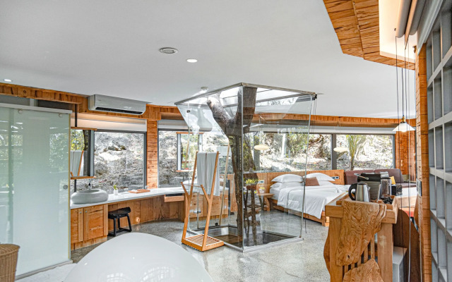 The House 15