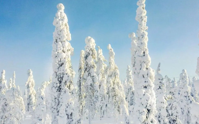 Oivanki / pikku-junga