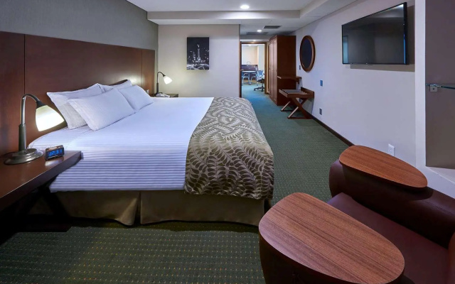 Hilton Garden Inn Mexico City Polanco