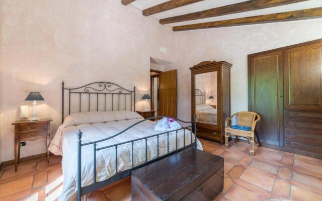 Il Castagno dell'Etna