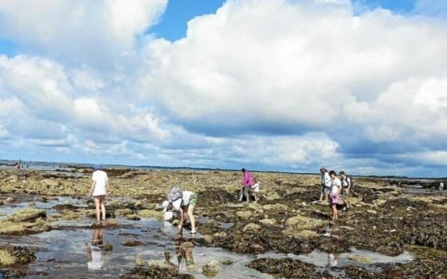 Appartement Granville, 2 pièces, 2 personnes - FR-1-361-119