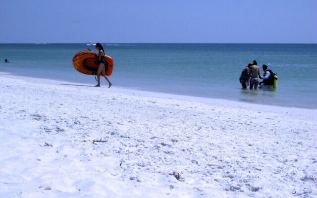 The Anna Maria Island Beach Castaway 1