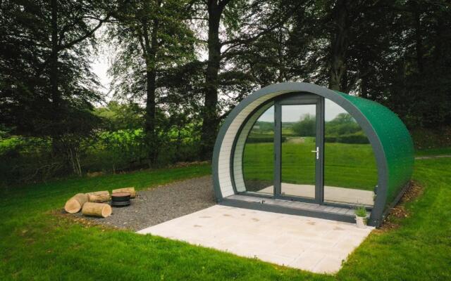 Further Space at Thornfield Luxury Glamping Pods, The Dark Hedges, Ballycastle