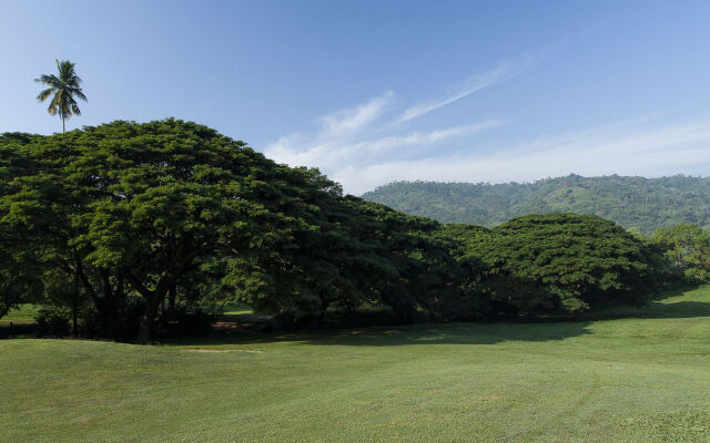 Albatross by The Clarks, Kandy