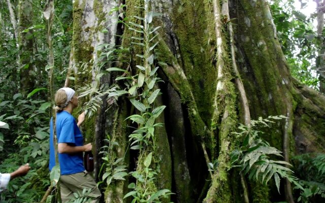 Grand Selva Lodge & Tours