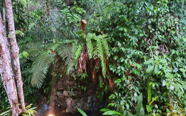 Khao Sok Silver Cliff Resort