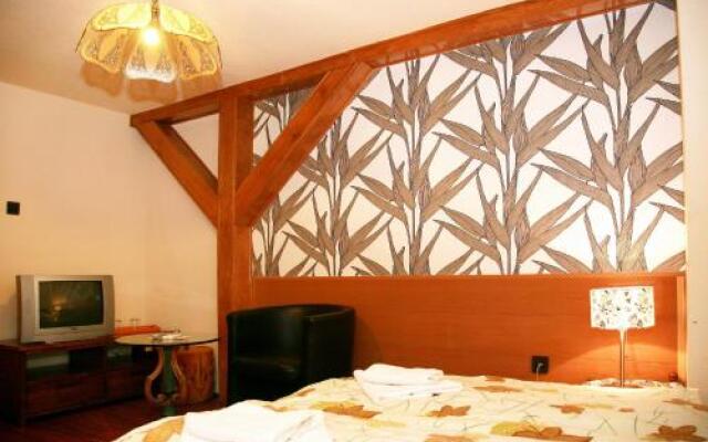 Bástya Wellness Hotel - Nyírbátor