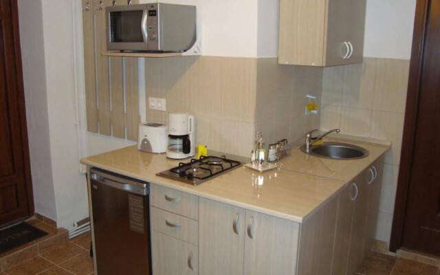 Apartament Miruna Sibiu Filarmonicii