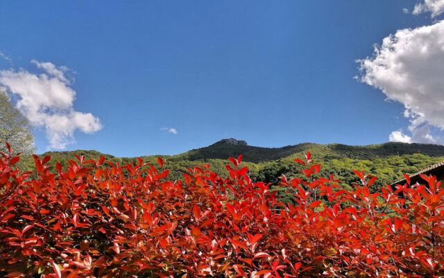 Narciso B&B Valbrona