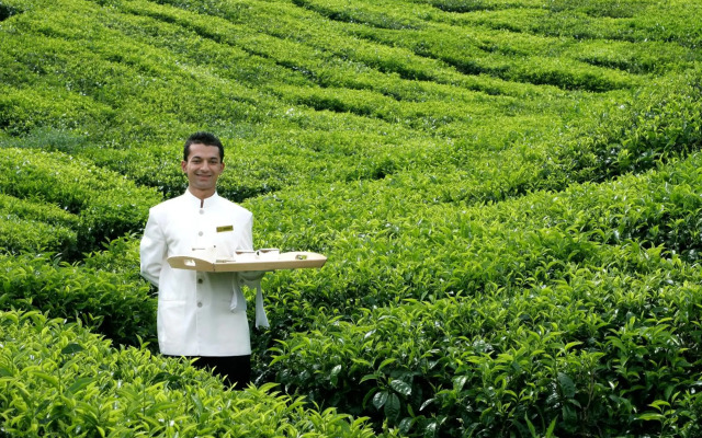 Cameron Highlands Resort