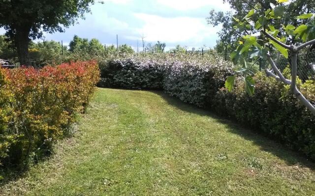 Al Bosco delle Api