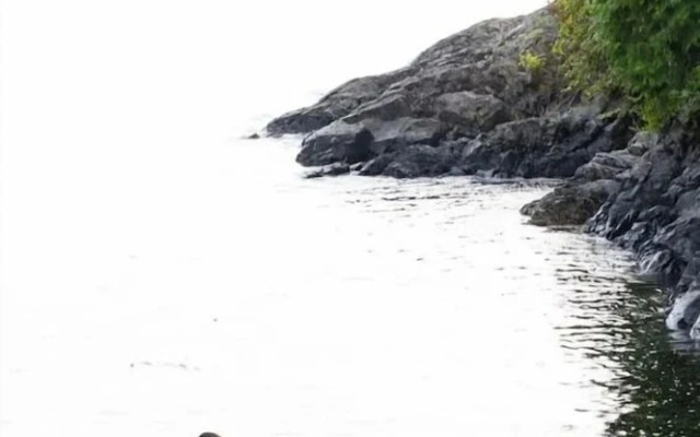 Tofino Oceanfront Hotel Suite 3